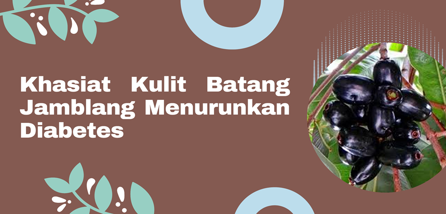 Khasiat Kulit Batang Jamblang Menurunkan Diabetes